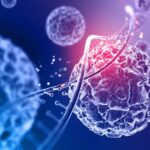 Cutting-Edge Applications of Stem Cell Therapy in Medical Treatments