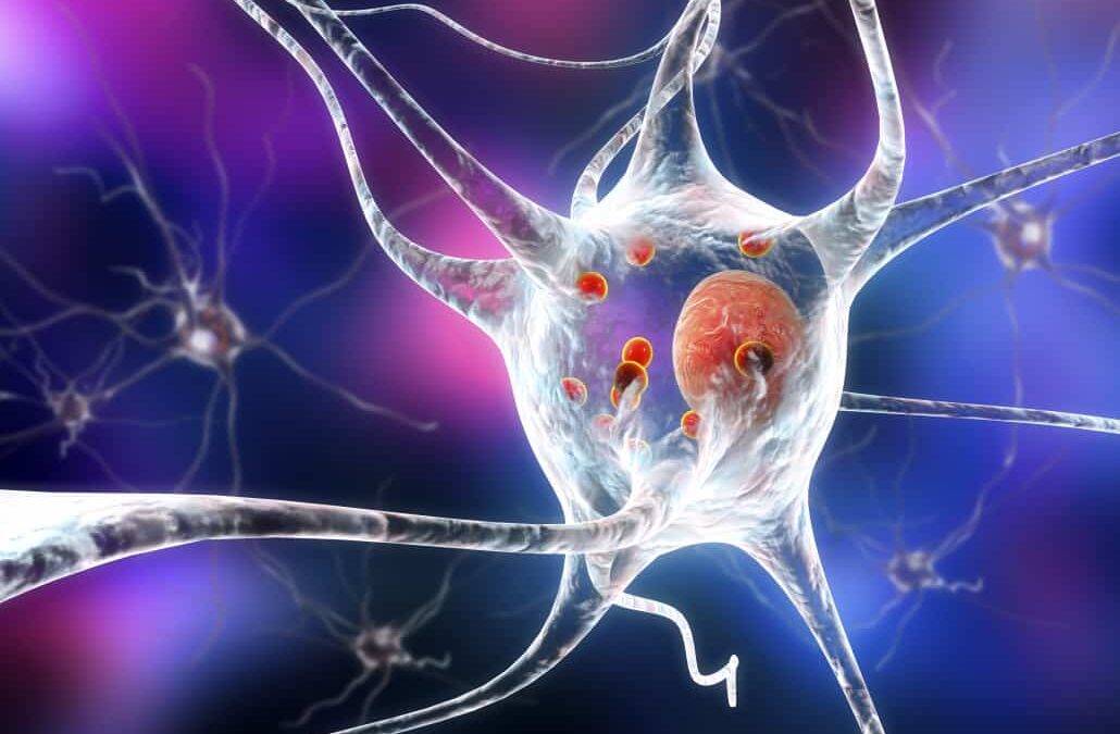 The Role of Stem Cells in Regenerative Medicine