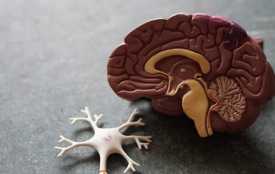 Understanding How Semaglutide Works